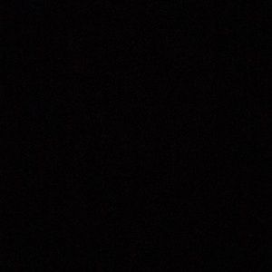 Meet your Posher, Dominick